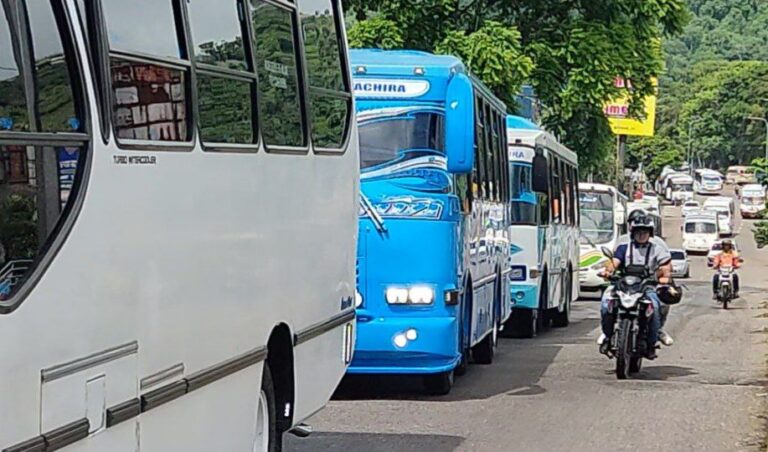 Unidades de transporte público en Táchira / Luzfrandy Contreras