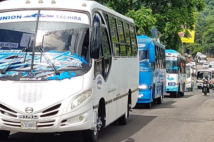 Unidades del transporte público. Foto Luzfrandy Contreras.