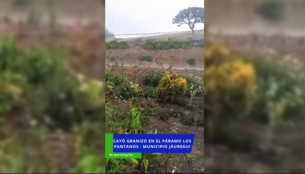 Cayó granizo este jueves en horas de tarde en la zona del páramo de Táchira